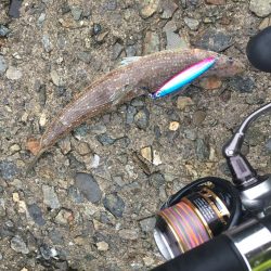 雨の中でショアジギング